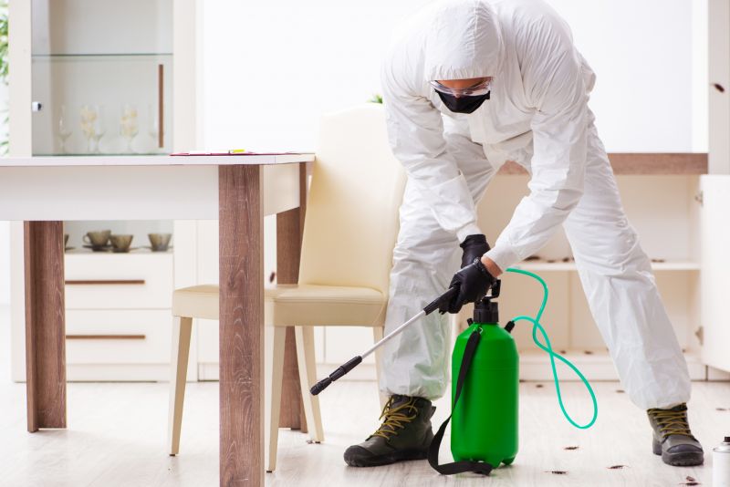 Pest Control Experts